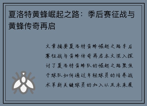 夏洛特黄蜂崛起之路：季后赛征战与黄蜂传奇再启