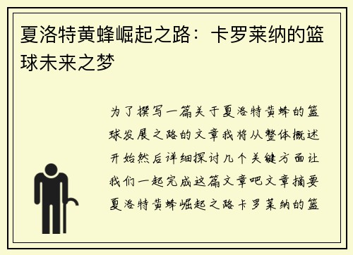 夏洛特黄蜂崛起之路：卡罗莱纳的篮球未来之梦